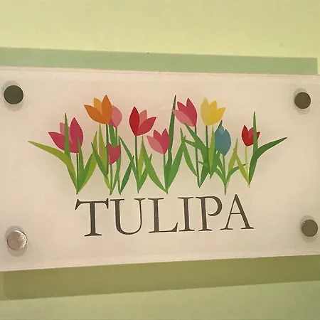 Apartmán Lx Flowers Lisboa