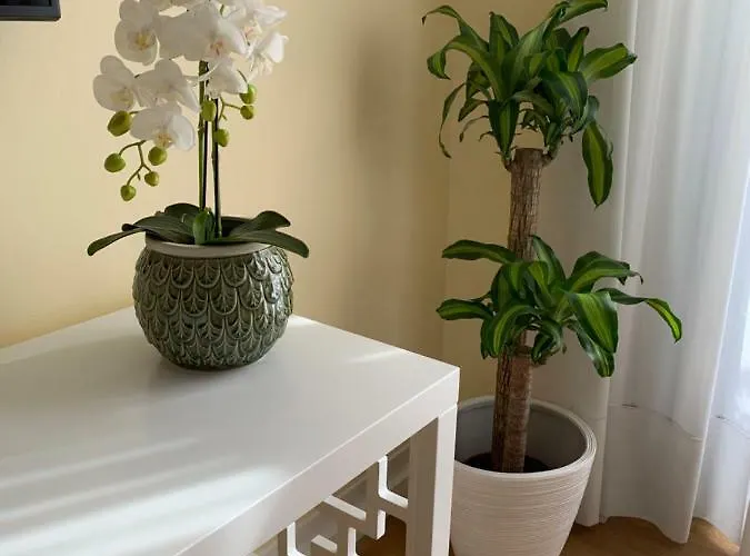 דירה Lx Flowers ליסבון